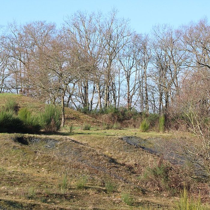 Photo de Musée de lardoise de Trélazé
