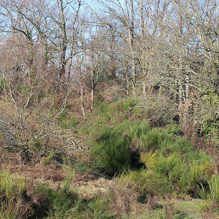 Photo de Musée de lardoise de Trélazé