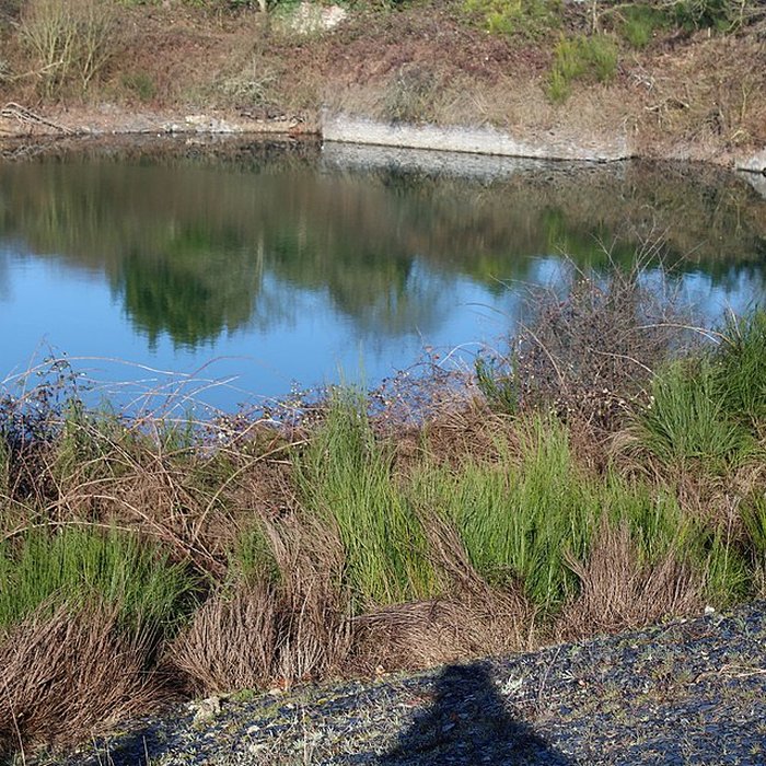 Photo de Musée de lardoise de Trélazé
