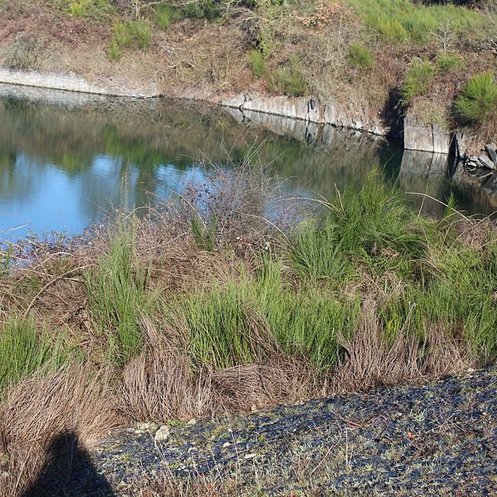 Photo de Musée de lardoise de Trélazé