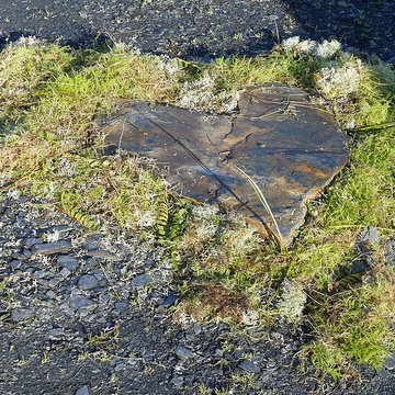 Musée de lardoise de Trélazé