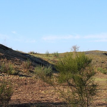 Musée de lardoise de Trélazé