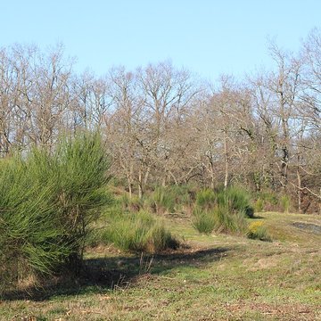 Musée de lardoise de Trélazé