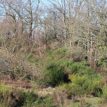Musée de lardoise de Trélazé