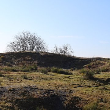 Musée de lardoise de Trélazé