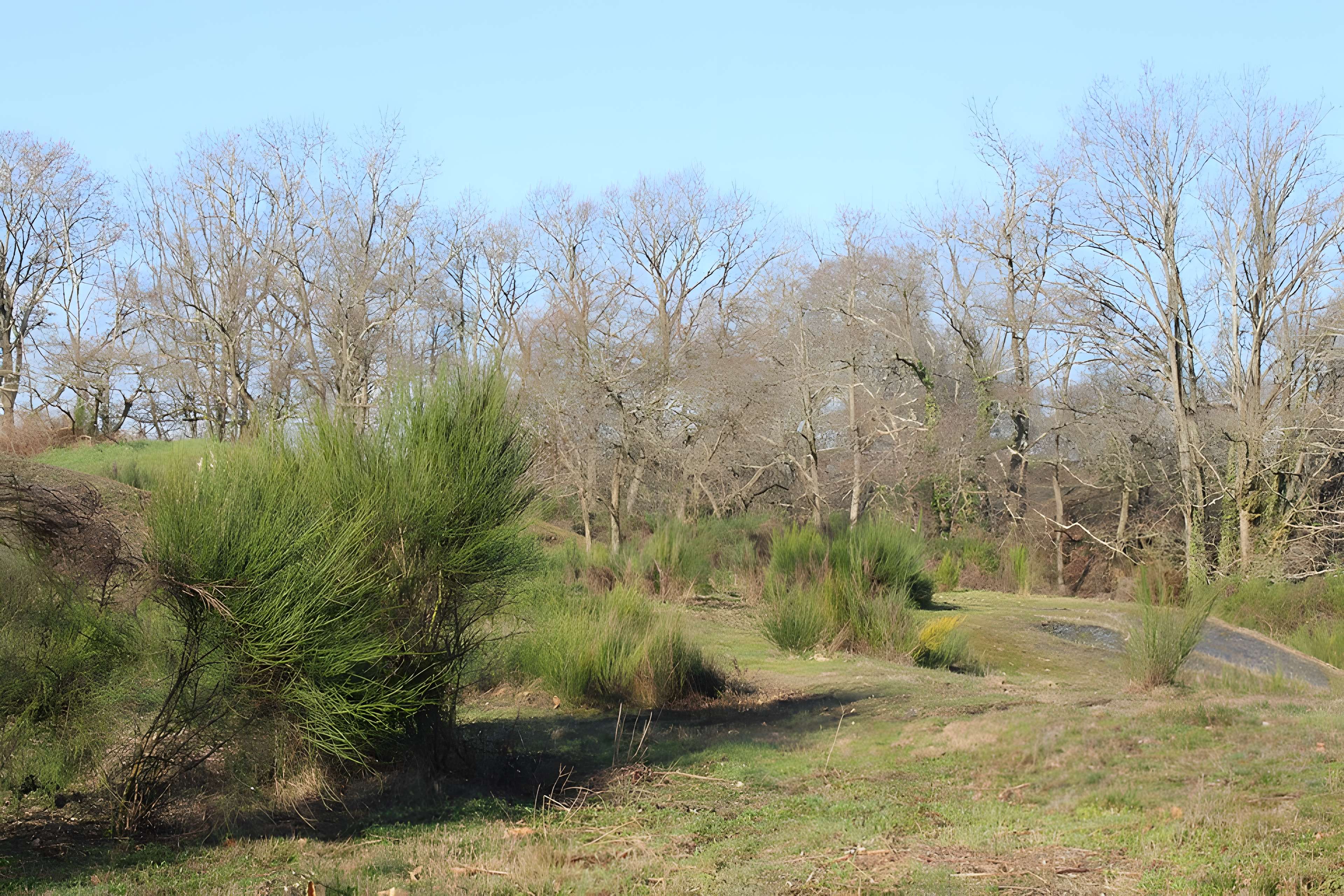 Musée de l'ardoise de Trélazé