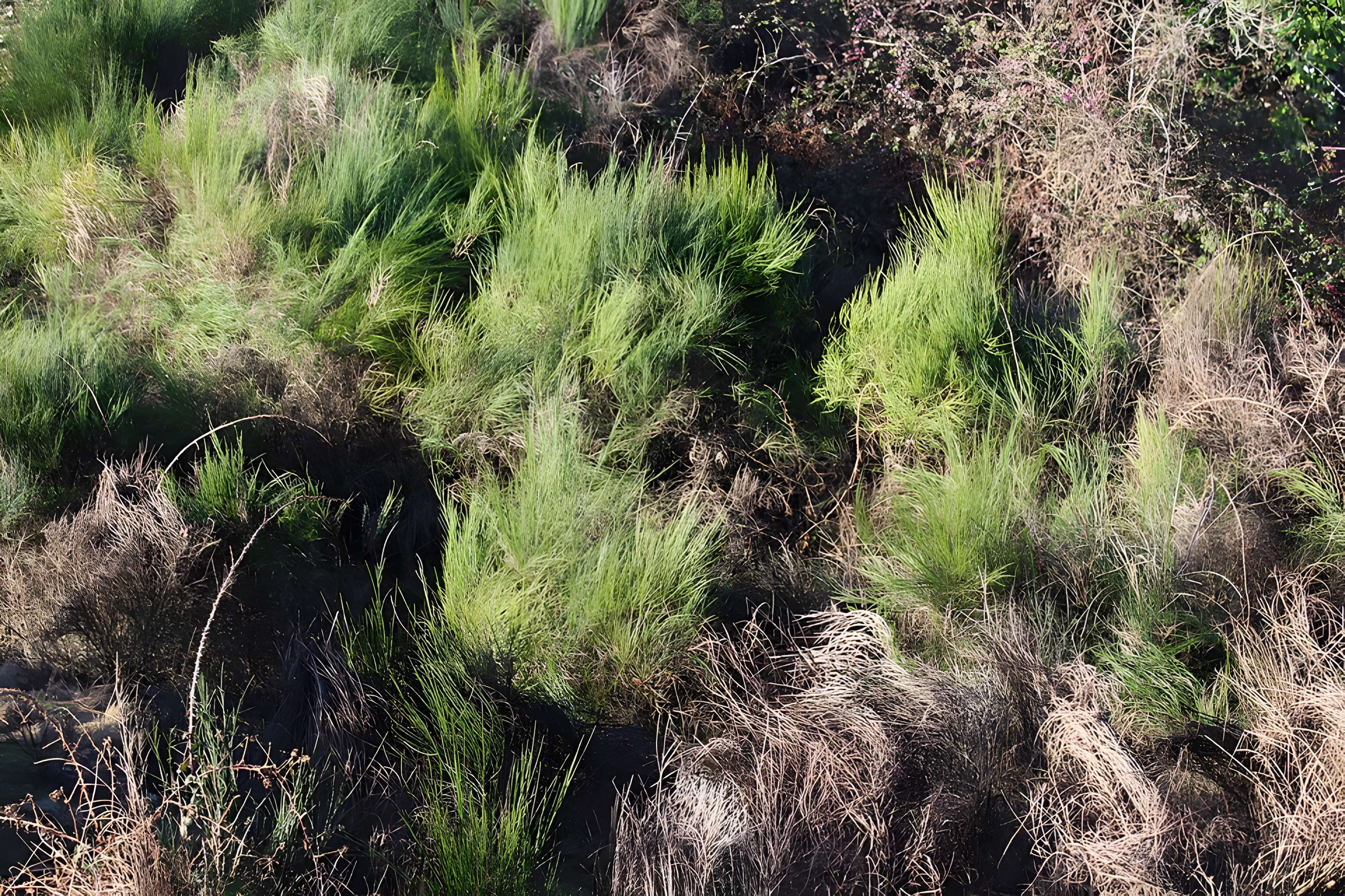 Musée de l'ardoise de Trélazé