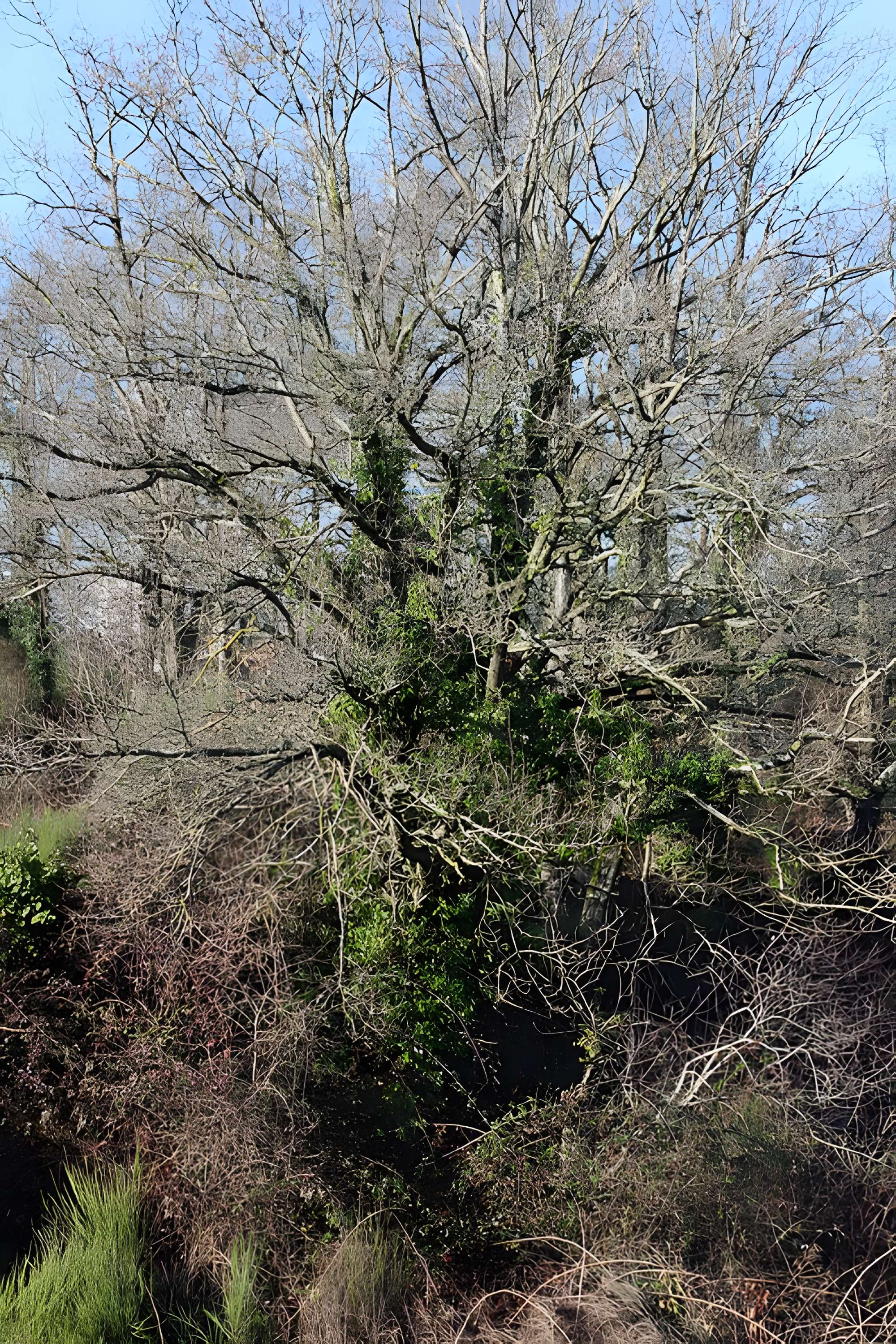 Musée de l'ardoise de Trélazé