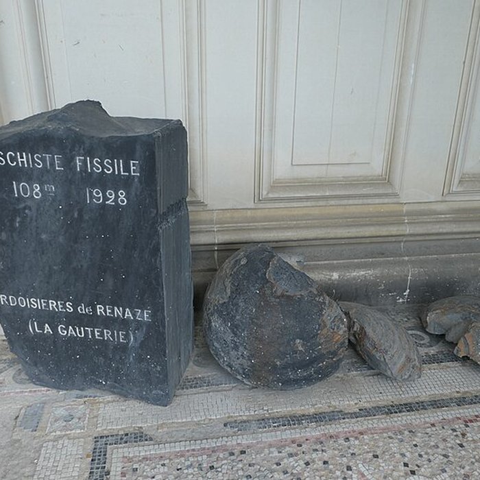 Photo de Musée des Sciences de Laval