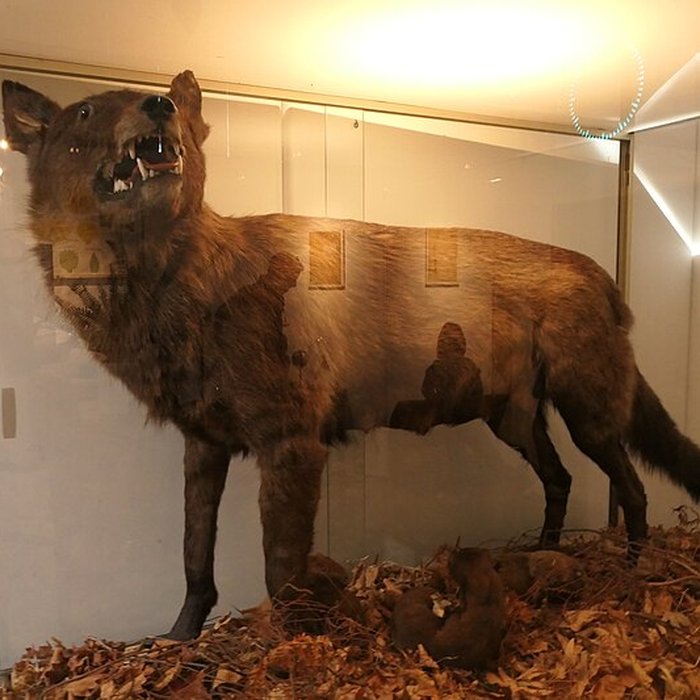 Photo de Musée des Sciences de Laval