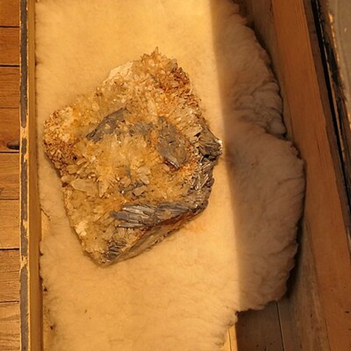 Photo de Musée des Sciences de Laval