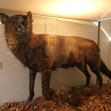 Musée des Sciences de Laval