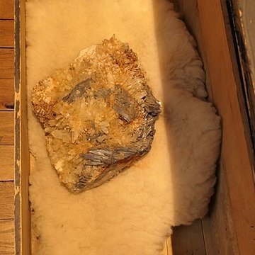 Musée des Sciences de Laval