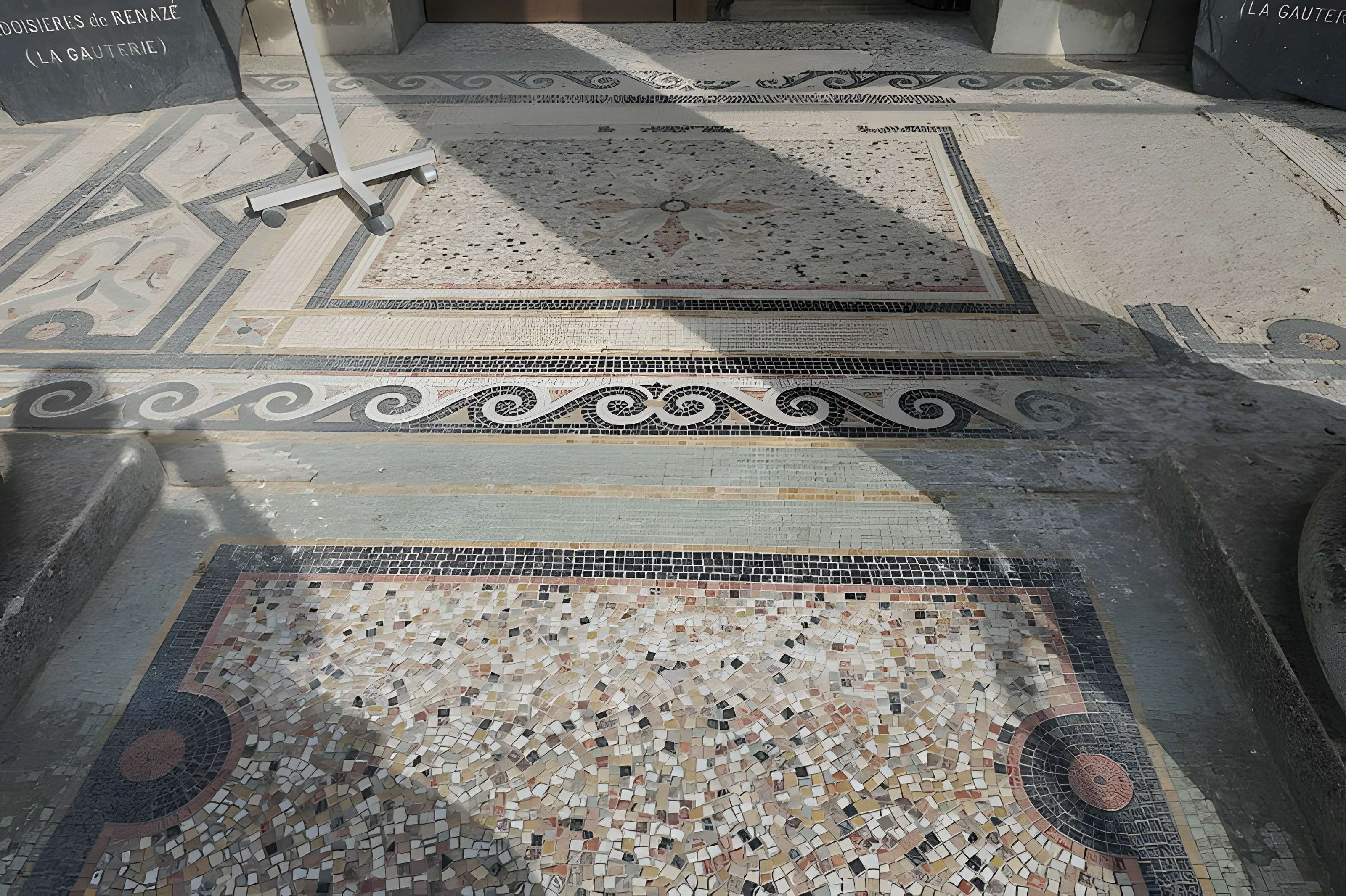 Musée des Sciences de Laval