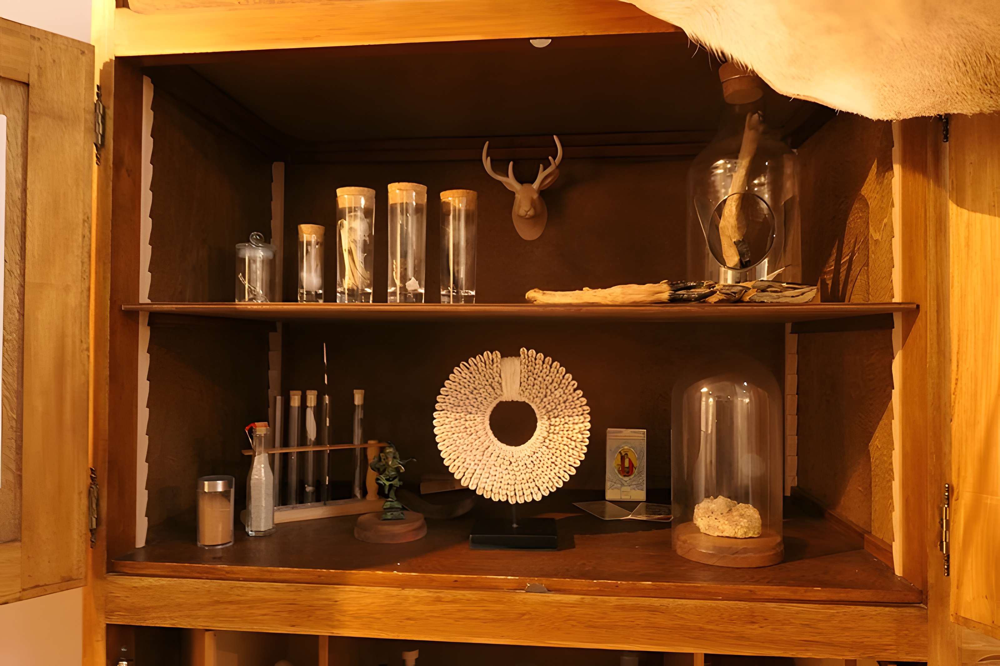 Musée des Sciences de Laval