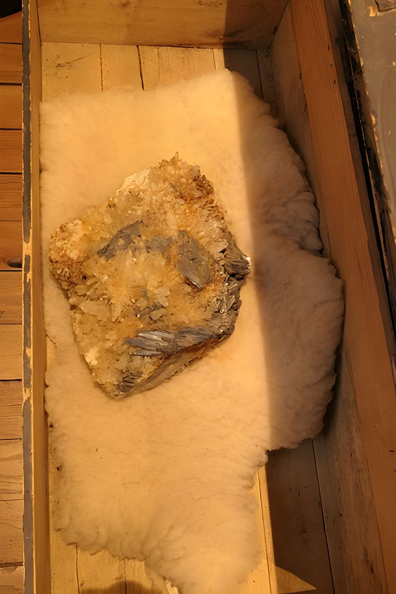 Musée des Sciences de Laval