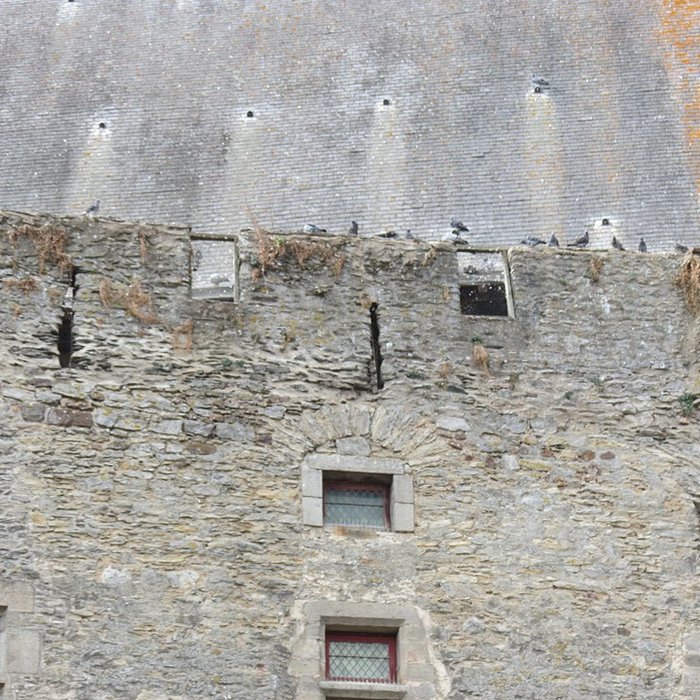 Photo de Musée du Vieux-Château de Laval