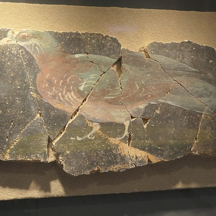 Photo de Musée darchéologique départemental de Jublains