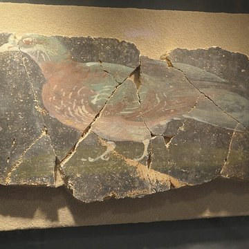 Musée darchéologique départemental de Jublains