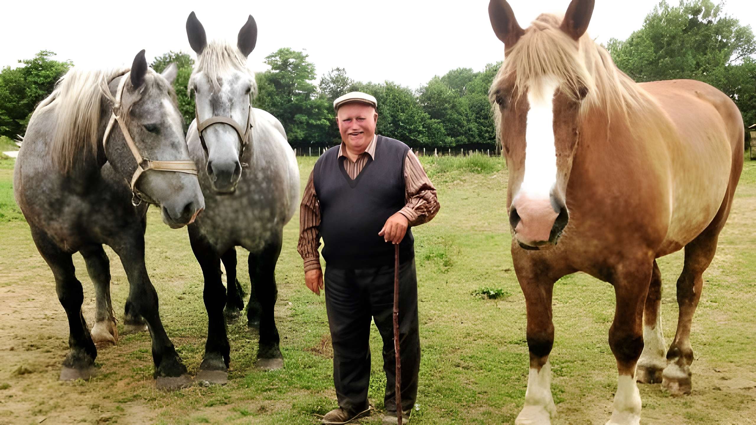 Musée de la moisson de Beaulieu-sur-Oudon 