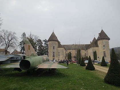 Photo de Château de Savigny