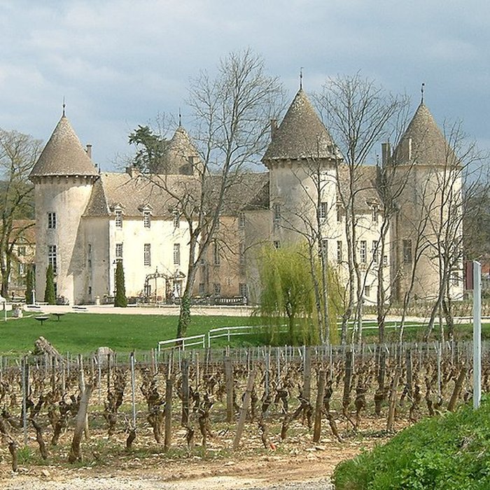Photo de Château de Savigny