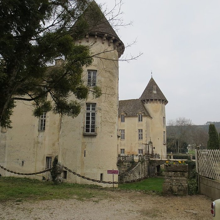 Photo de Château de Savigny