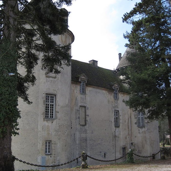 Photo de Château de Savigny