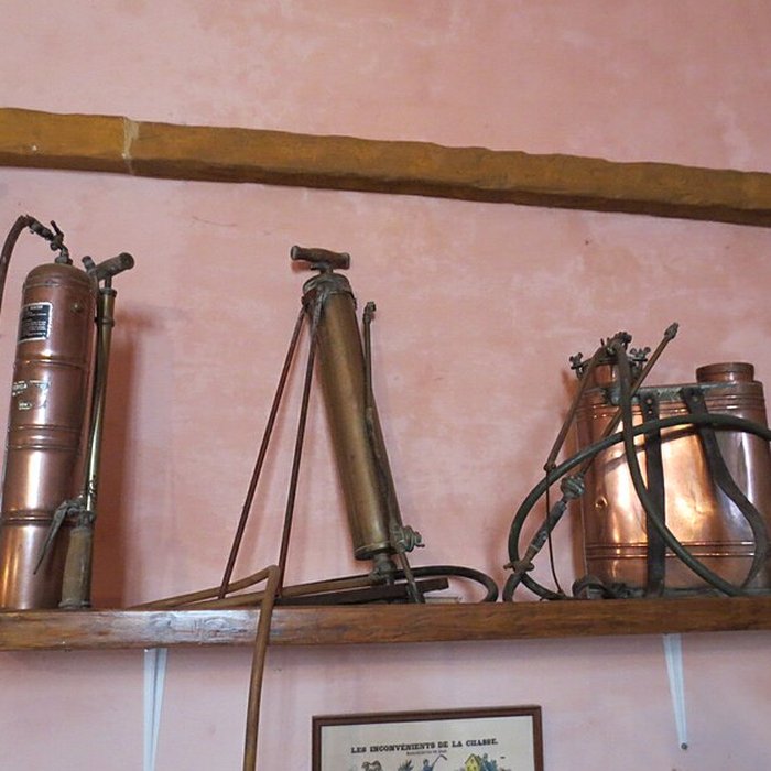 Photo de Château de Savigny