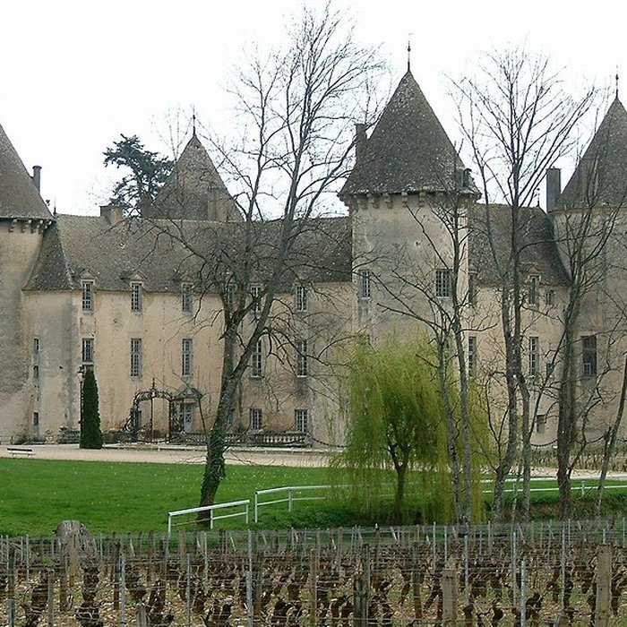 Photo de Château de Savigny