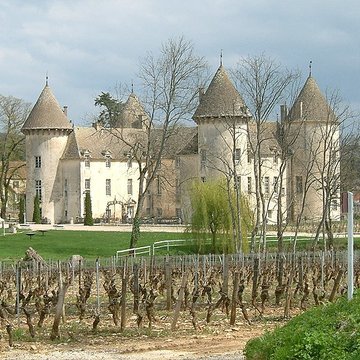 Château de Savigny