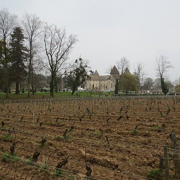 Château de Savigny