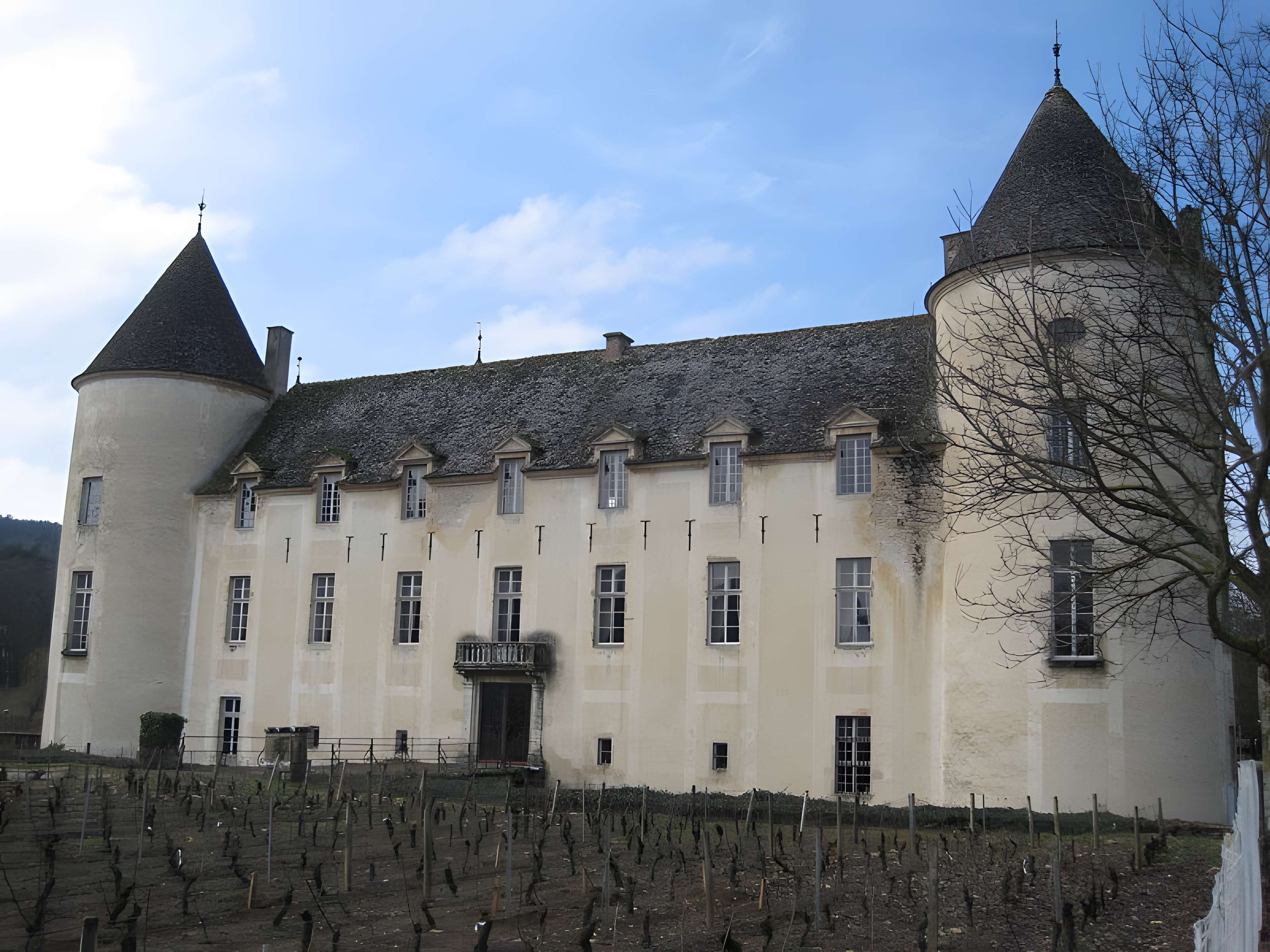 Château de Savigny