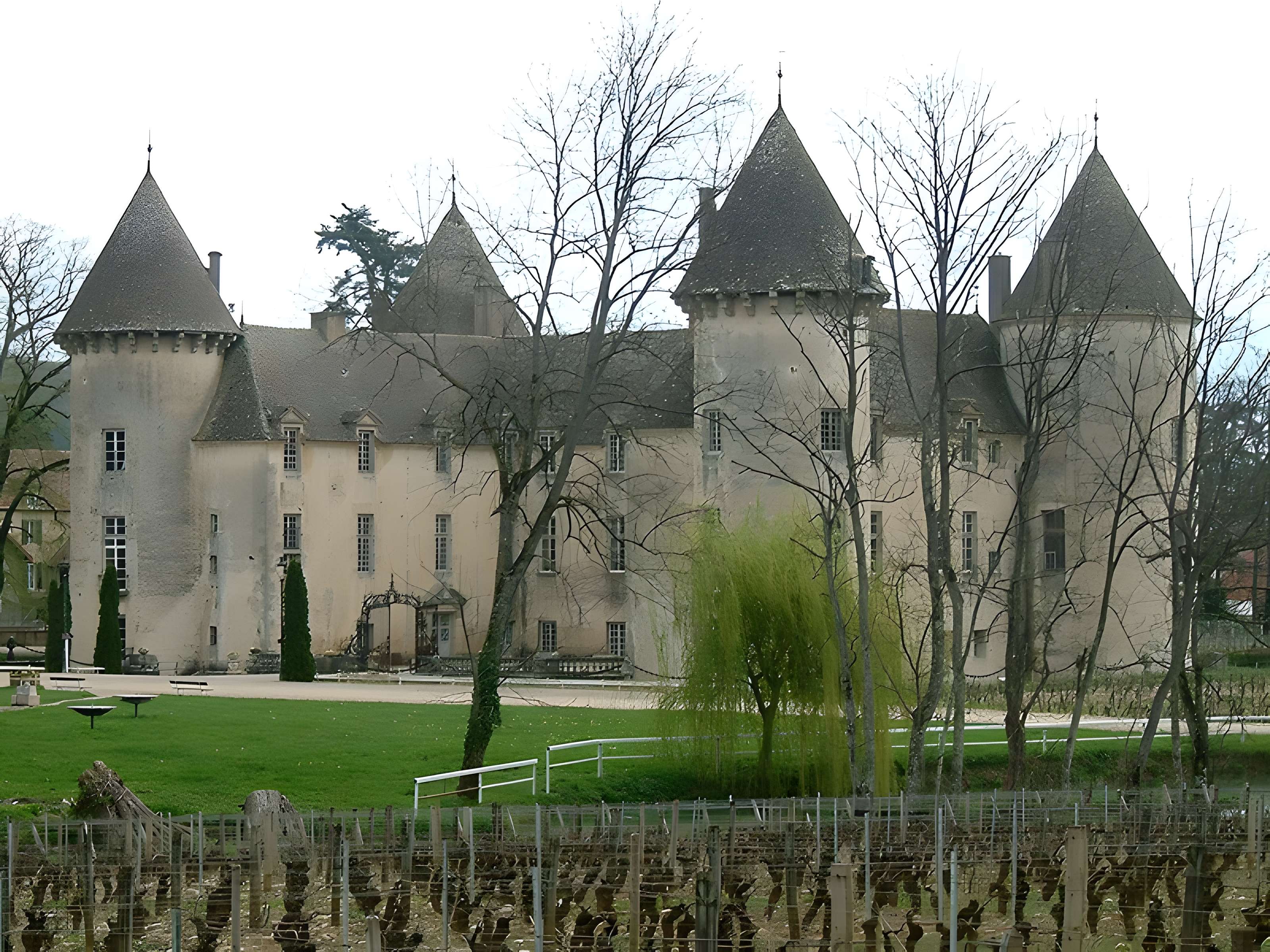 Château de Savigny