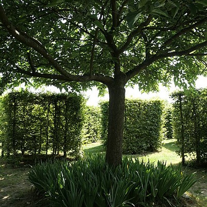 Photo de Musée Robert-Tatin à Cossé-le-Vivien