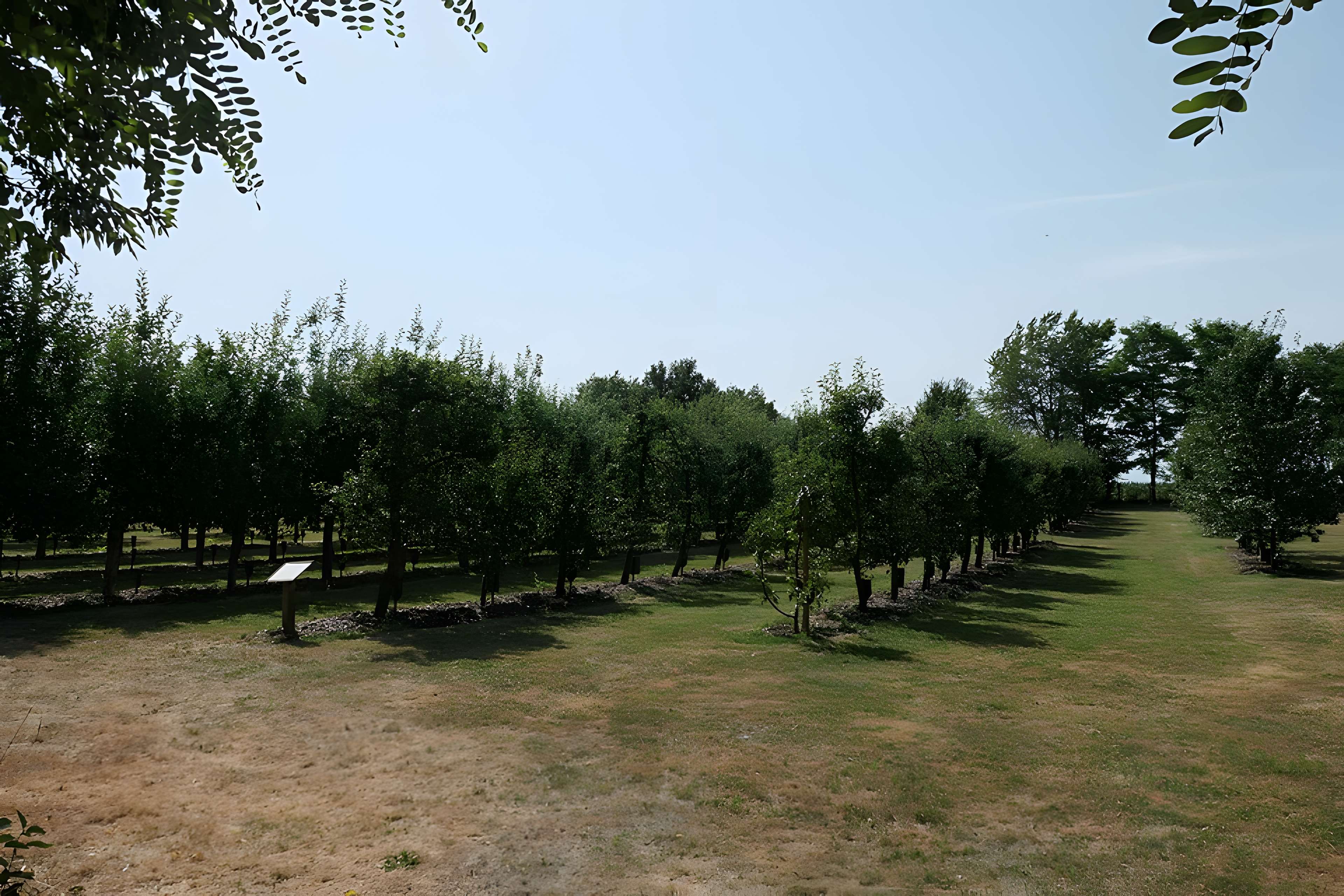 Musée Robert-Tatin à Cossé-le-Vivien