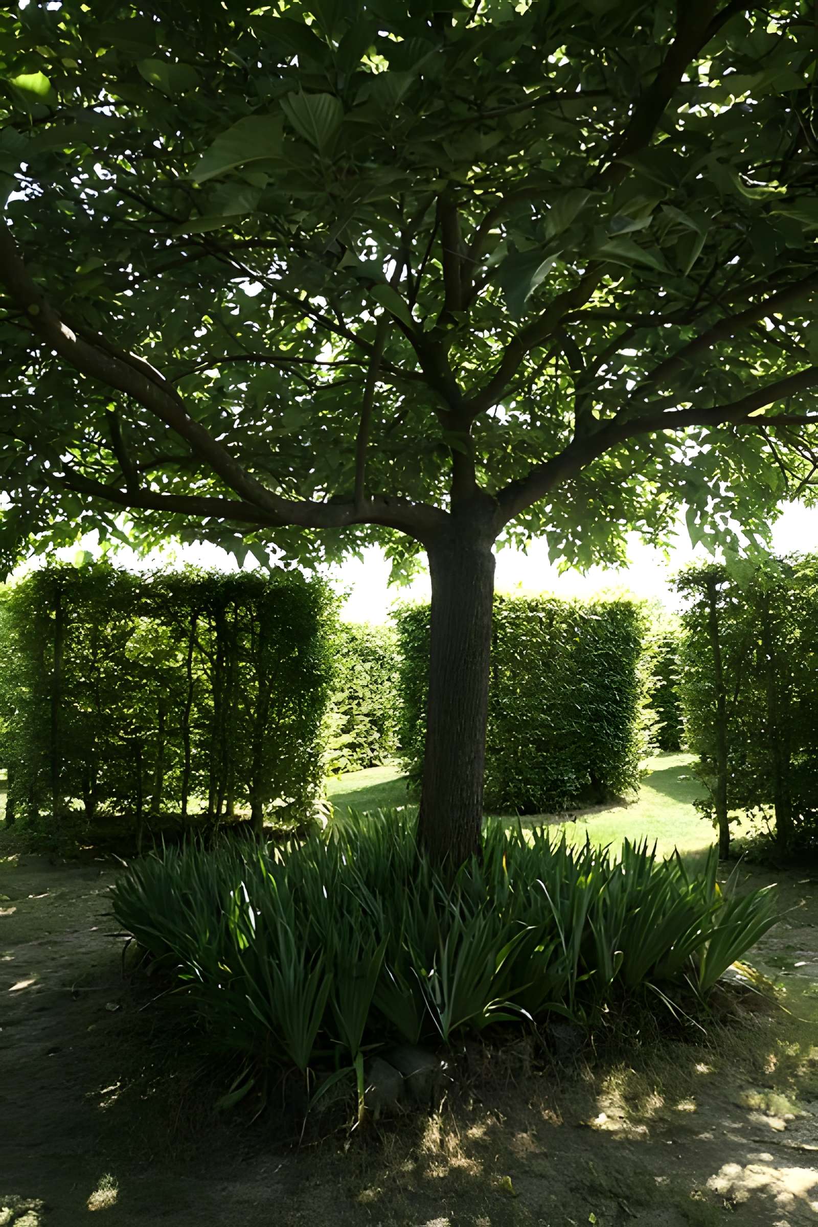 Musée Robert-Tatin à Cossé-le-Vivien