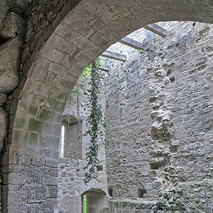 Photo de Château de Scey également sur commune de Chassagne-Saint-Denis