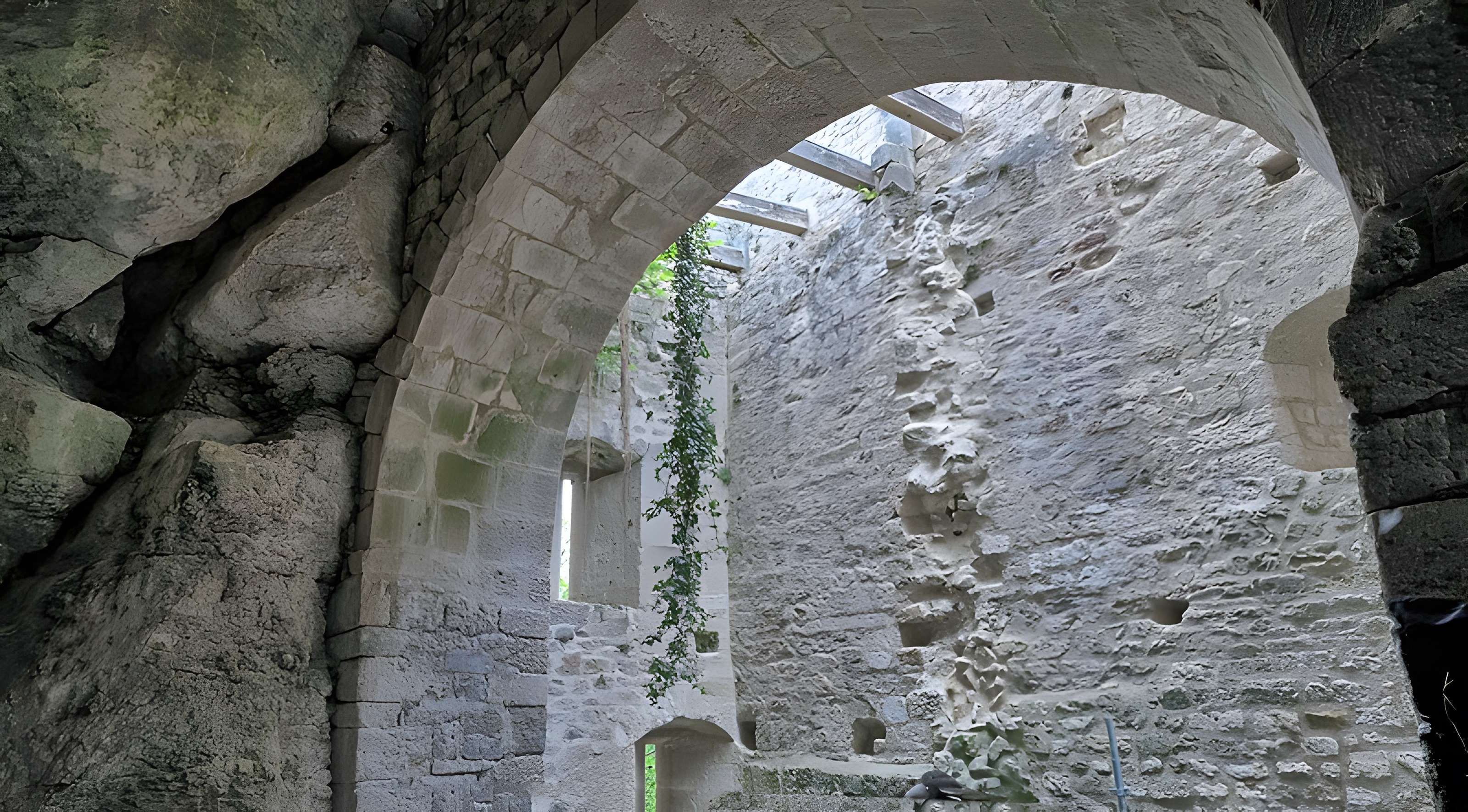 Château de Scey (également sur commune de Chassagne-Saint-Denis)