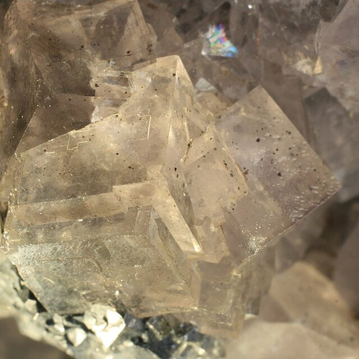 Photo de Musée de Tessé des beaux-arts au Mans