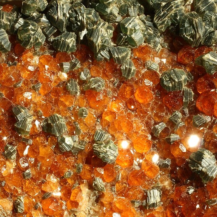 Photo de Musée de Tessé des beaux-arts au Mans