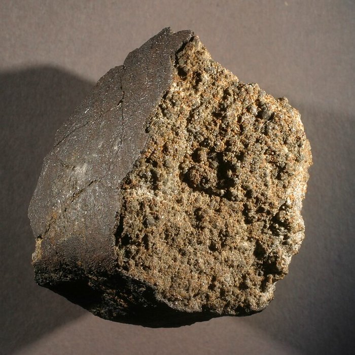 Photo de Musée de Tessé des beaux-arts au Mans