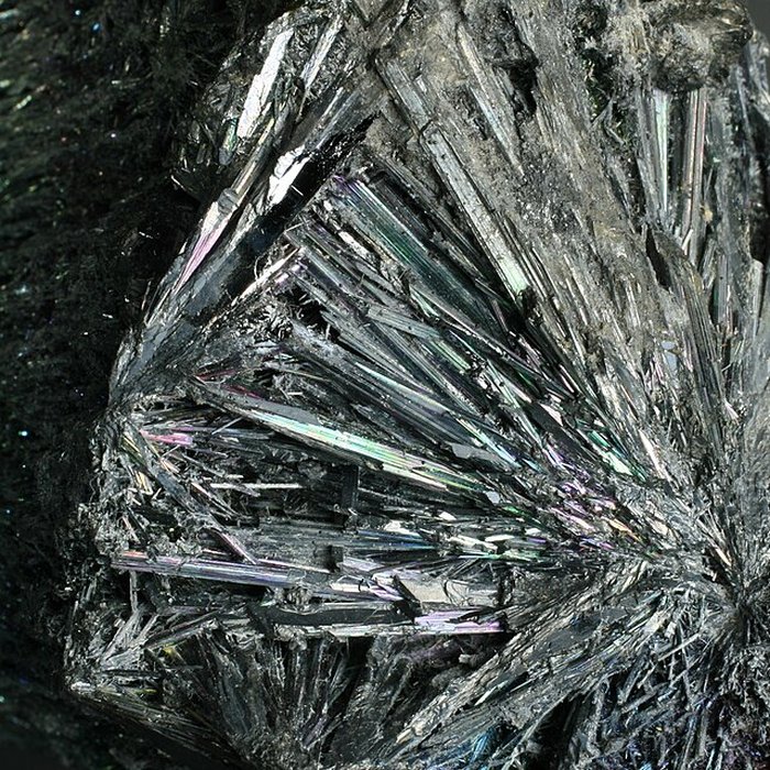 Photo de Musée de Tessé des beaux-arts au Mans