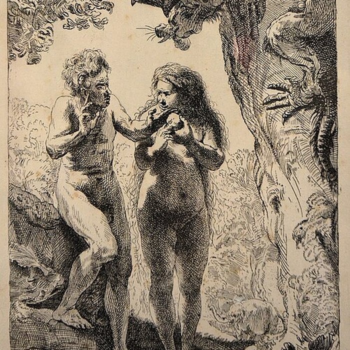 Photo de Musée de Tessé des beaux-arts au Mans