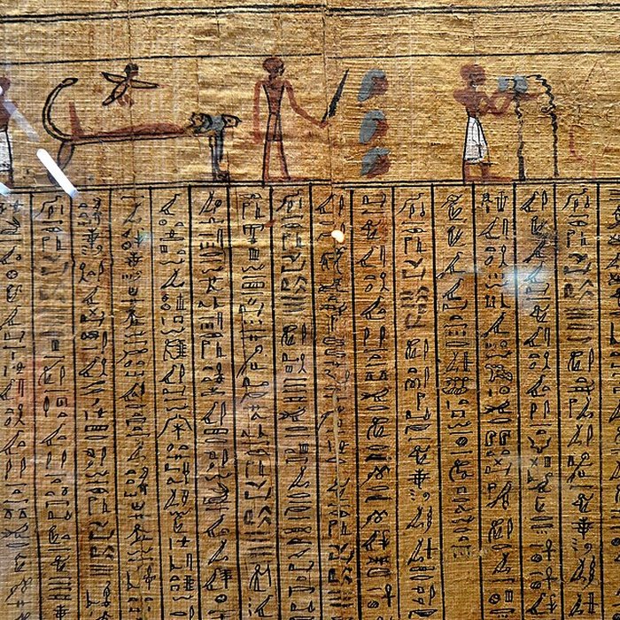 Photo de Musée de Tessé des beaux-arts au Mans