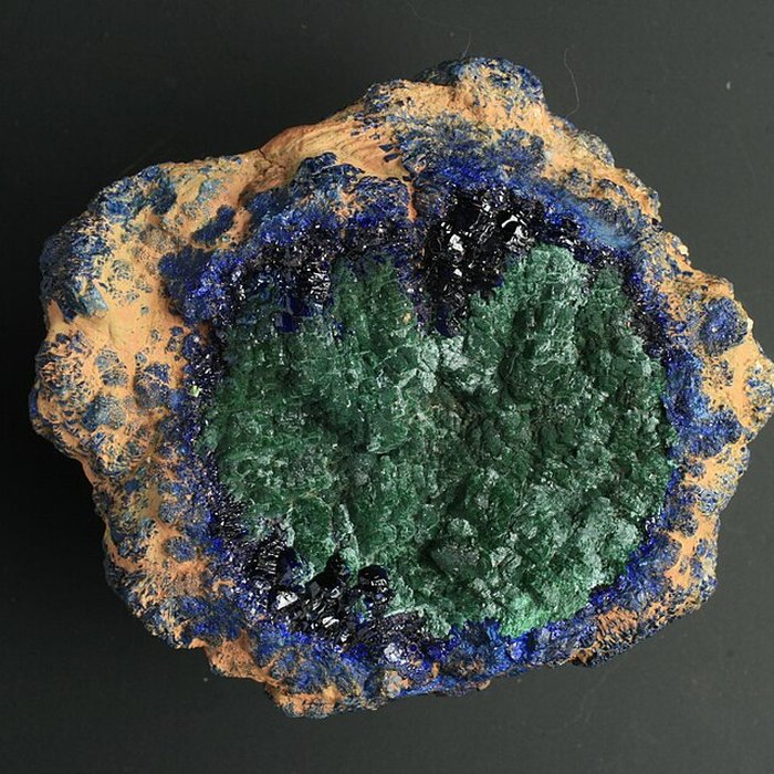 Photo de Musée de Tessé des beaux-arts au Mans