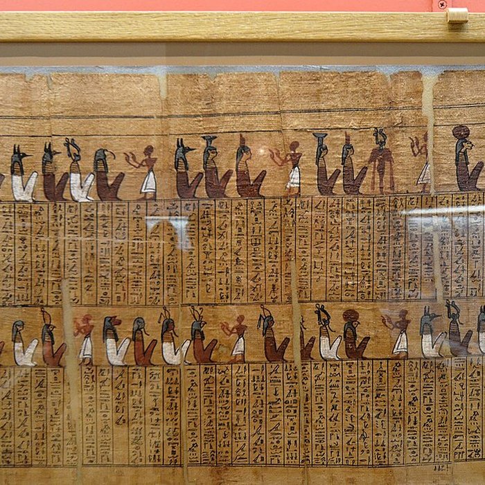 Photo de Musée de Tessé des beaux-arts au Mans