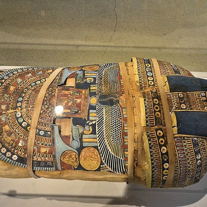 Photo de Musée de Tessé des beaux-arts au Mans