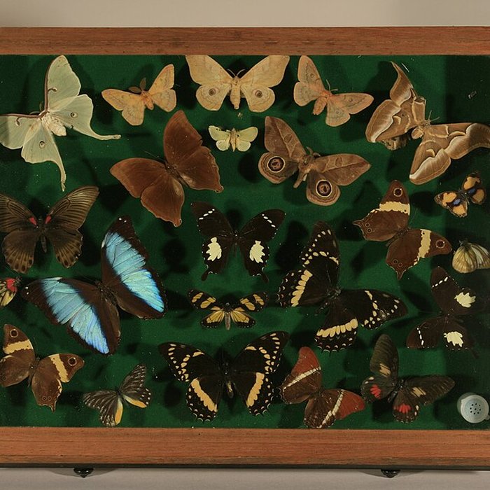 Photo de Musée de Tessé des beaux-arts au Mans