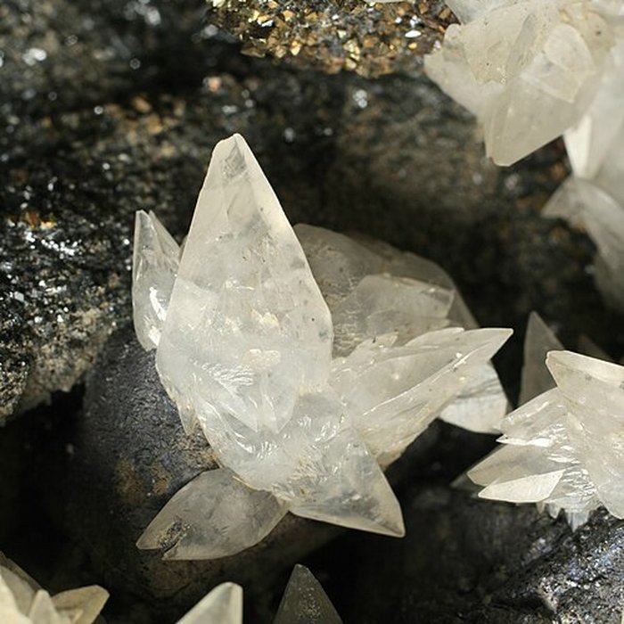 Photo de Musée de Tessé des beaux-arts au Mans